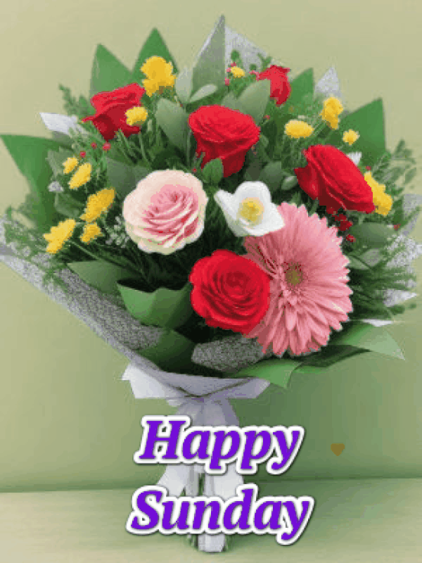 An den Beitrag angehängtes Bild: https://i.postimg.cc/cHMy7VGj/oie-1281056LT6S4fy-B.gif