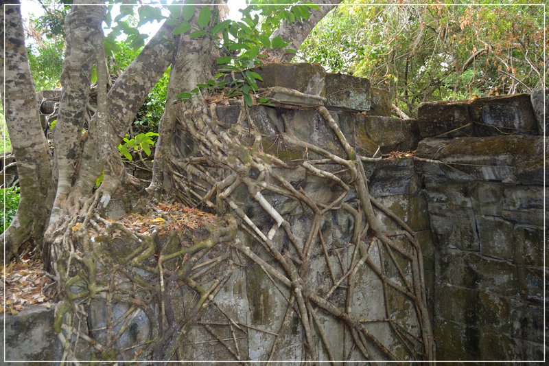 Angkor III. Beng Mealea y traslado a Phnom Penh. - De la bahía de Halong a los templos de Angkor (11)