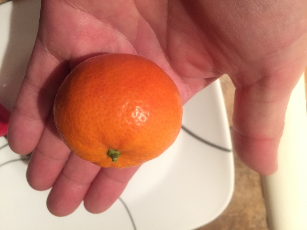 BA1687AC-FAAF-4299-97B2-A50CCE77009A