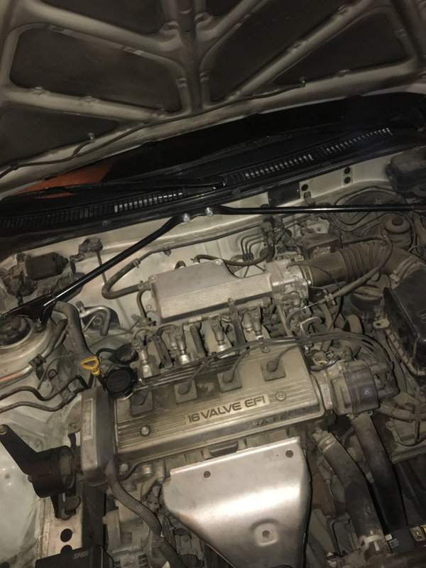 8AEE65A8-7B73-4B23-9090-4A5770DDD3F0