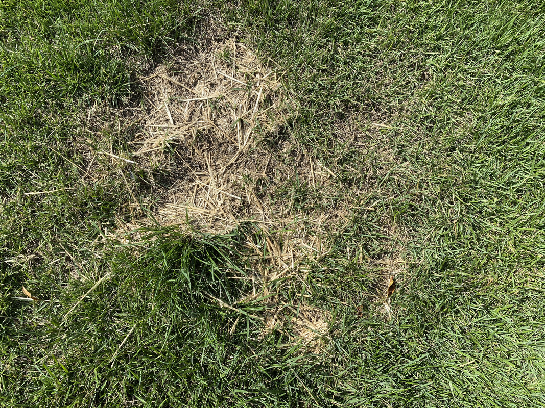 47629E3D-6F2D-4436-BEB3-5B5DCD94346D