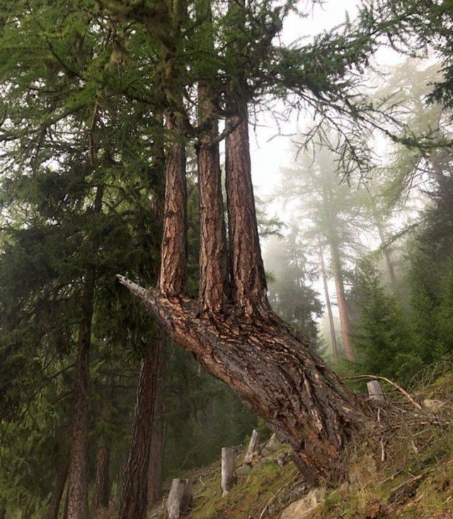 Naturaleza-4