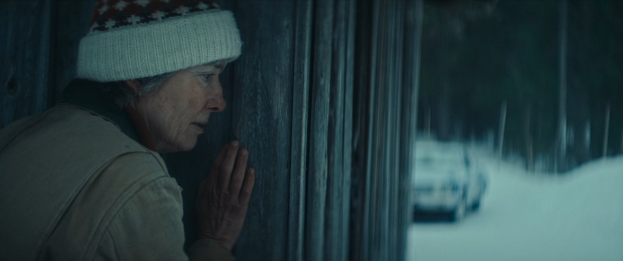 Dead of Winter 2025 BDRip 1080p x264 sele Zen mkv snapshot 00 19 13 736