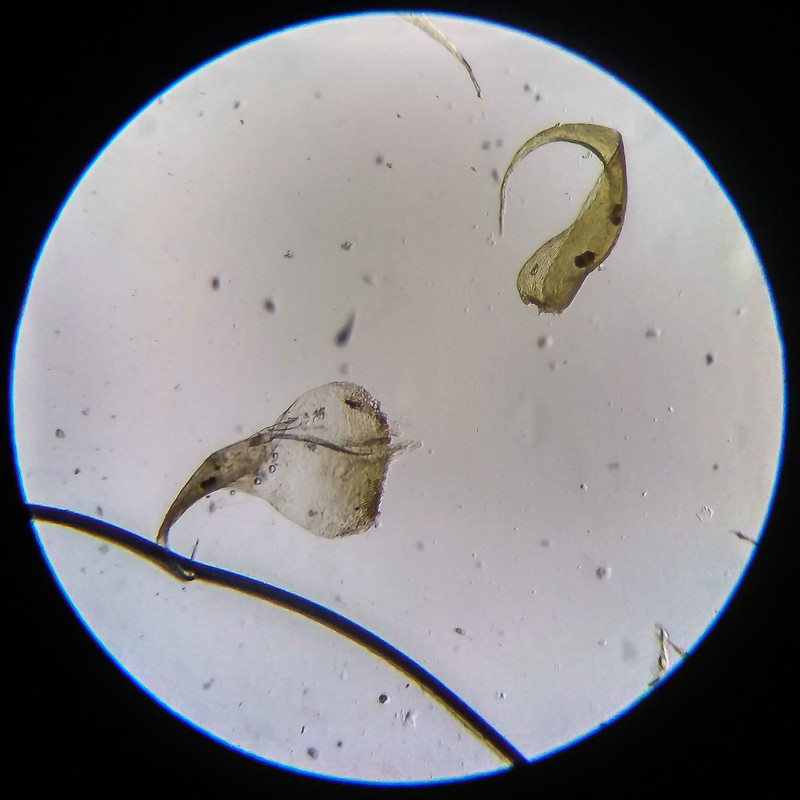 IMG 20250614 205824 HDR