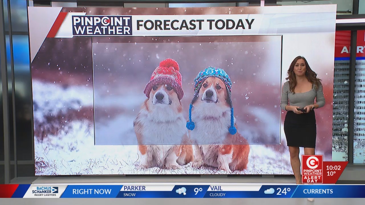 FOX 31 Morning News at 1000am_20250211_17001800.ts_snapshot_00.02.48.603