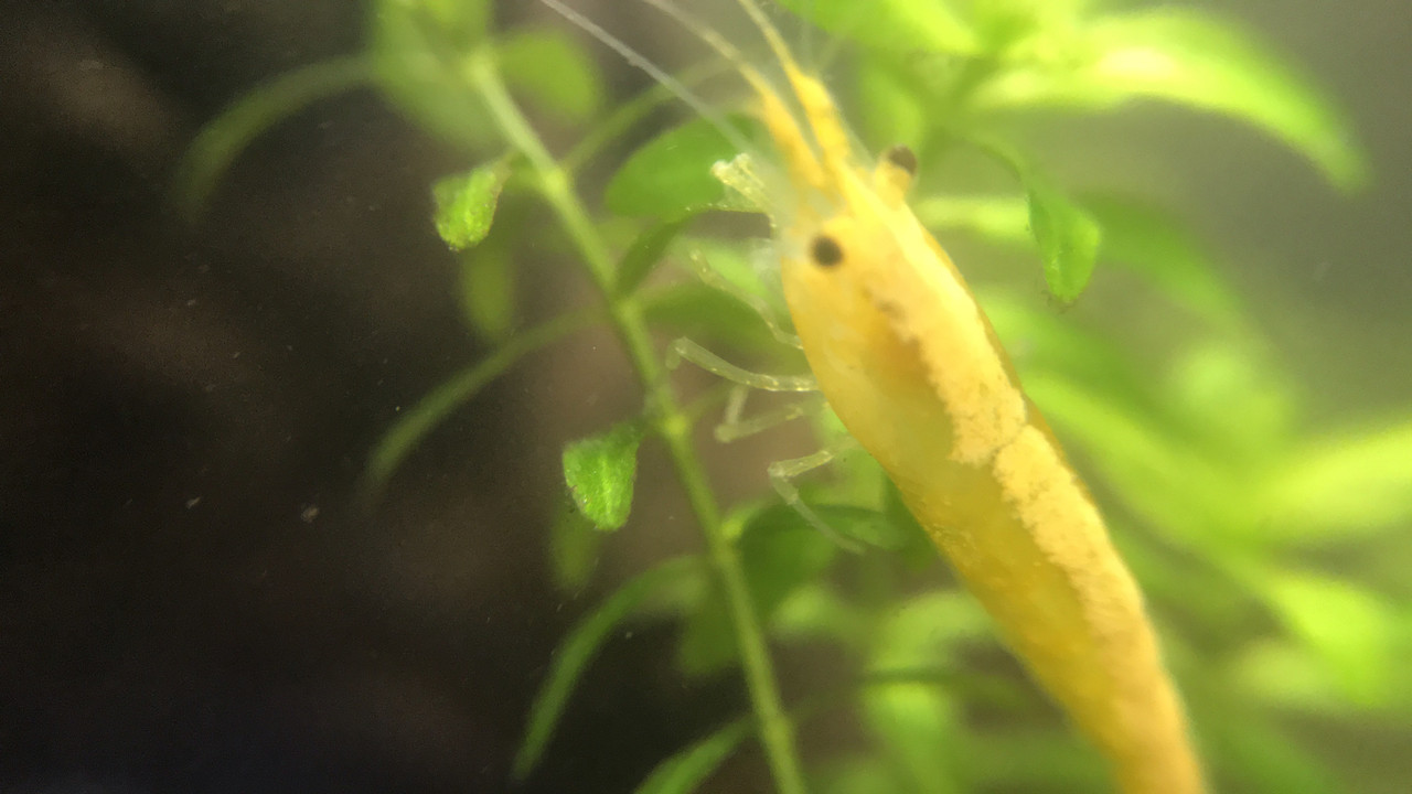 B6B06B51-CE48-4668-86C7-F8E2A9D2F1AF