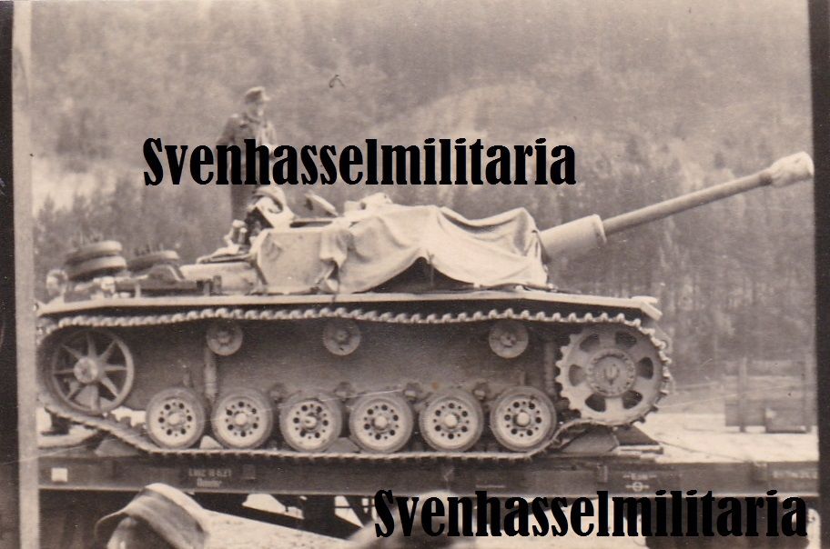 Elite Luftwaffe Div HG Frontkämpfer mit Stug Stu