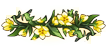 Divider-107x50