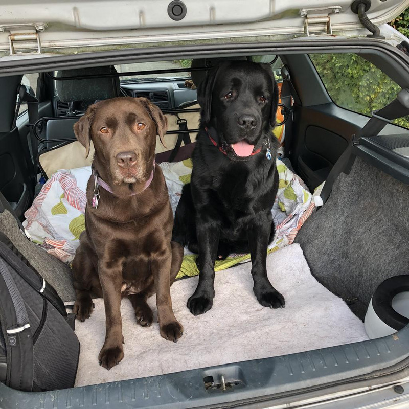 E804F9BE-F5C1-4CE0-AB4E-0C33E44D0A95