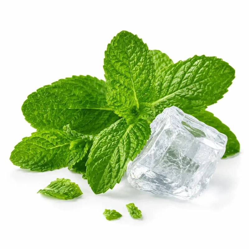 Mentol Natural