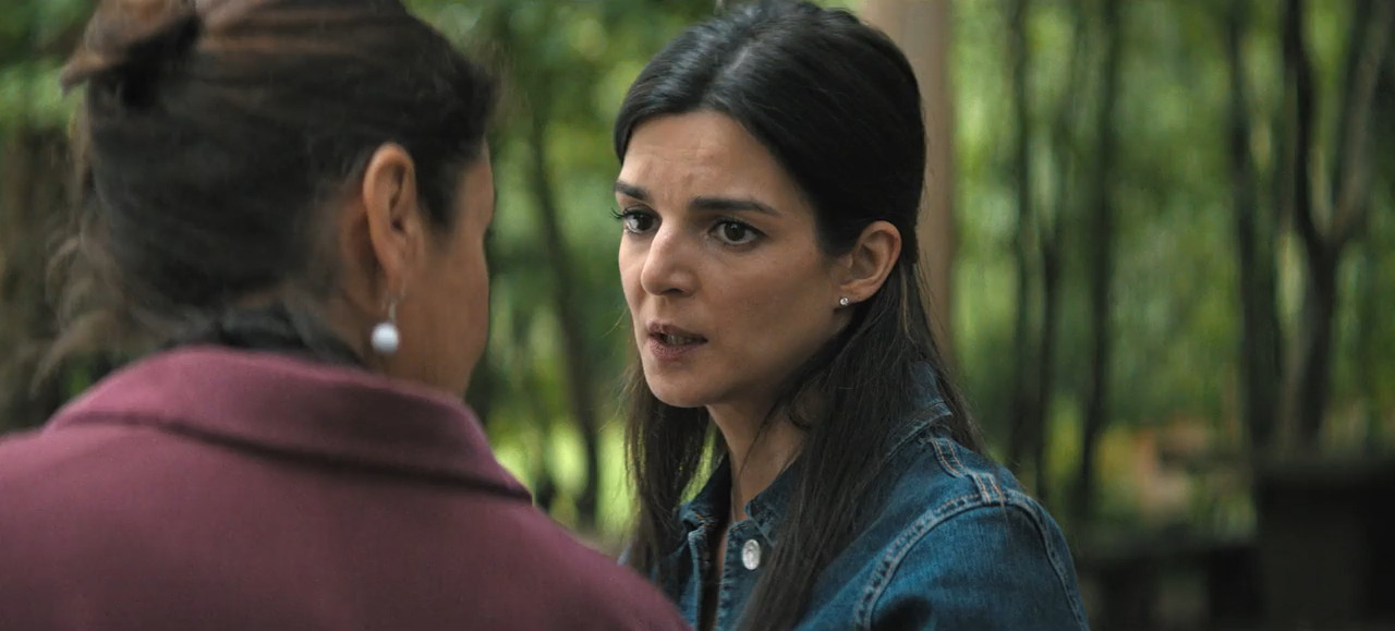 Gangs of Galicia 2026 WebRip Season 2 [Hindi + English] 480p 720p ESub Screenshot