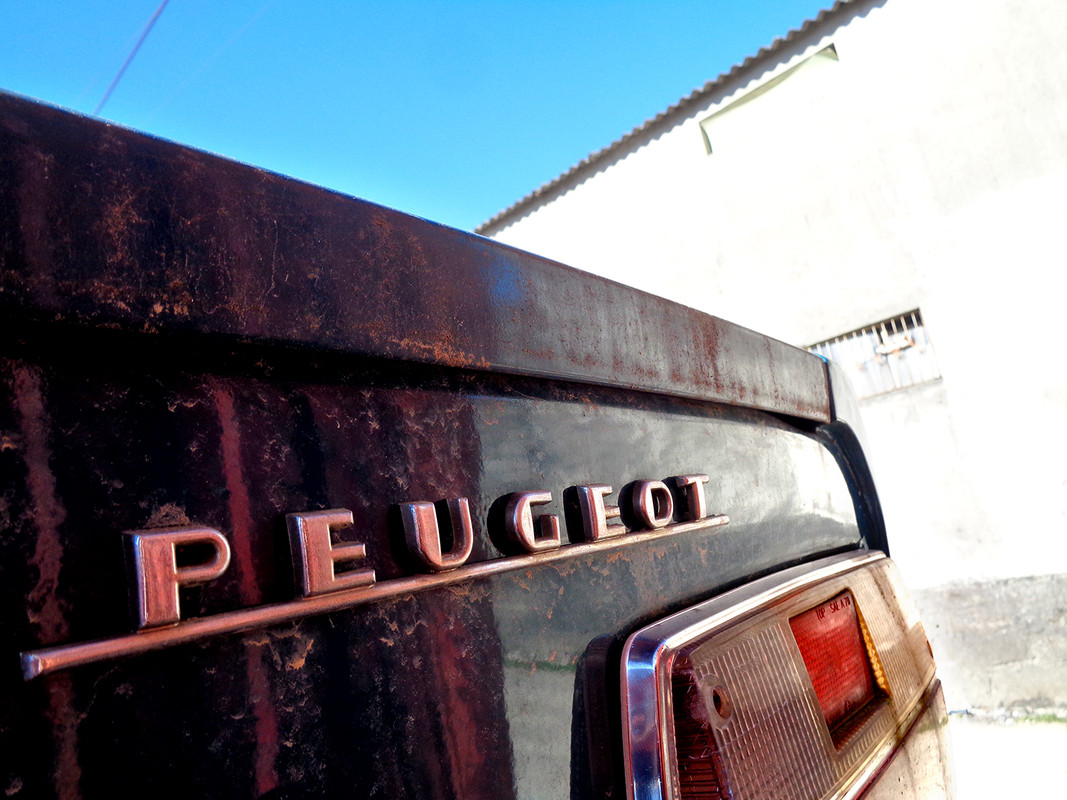 PUGA_304_BRG1902-Bd2