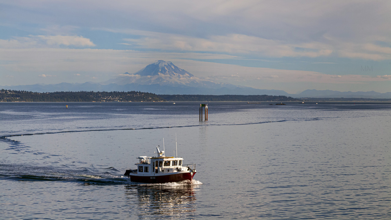 [Image: Seattle-ferry-1-mm.jpg]