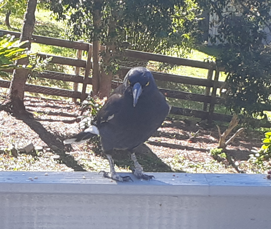 20190514-115325.jpg