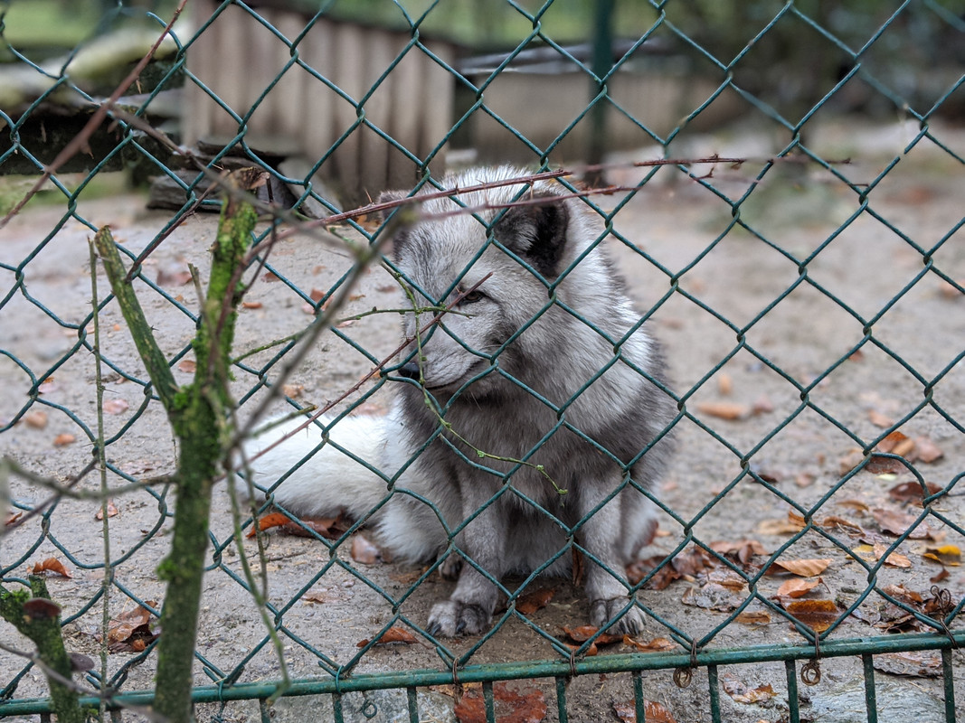 00100dPORTRAIT_00100_BURST20191208150609000_COVER