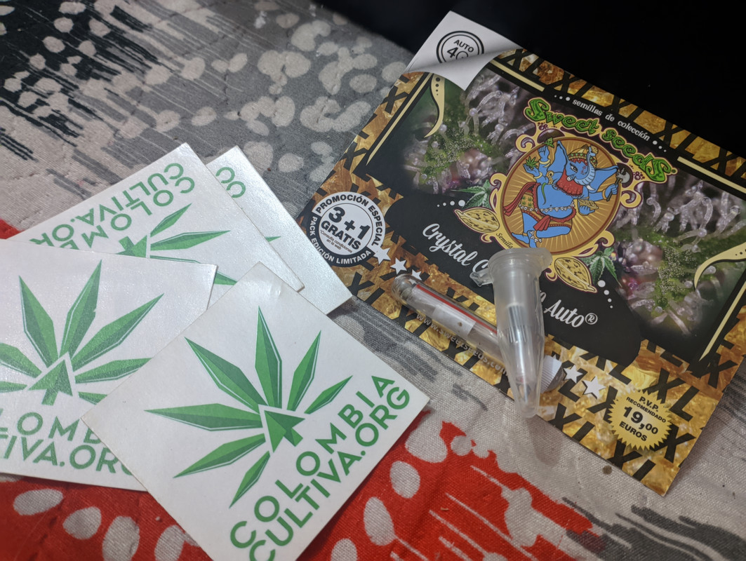 PXL_20221229_145040650