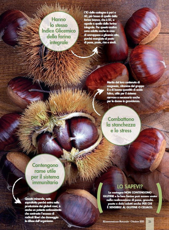 Alim Nat Ott 2023 (4)