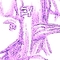 ezgif-3d1c252f30f352