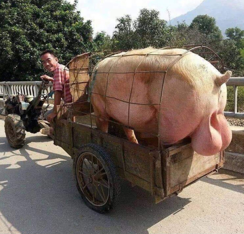 Hoy ceno con mi mujer y con otras dos parejas.