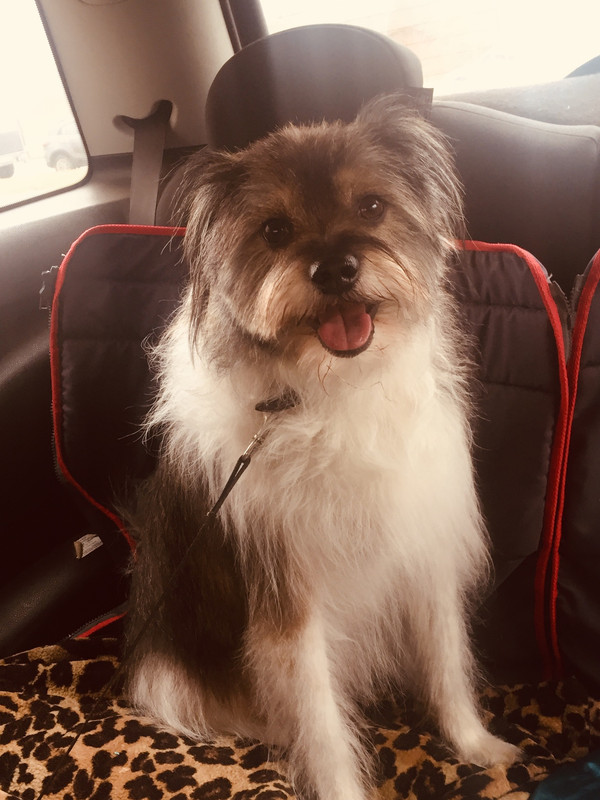 2621C620-4C34-4062-AA07-40C5C5367DE1