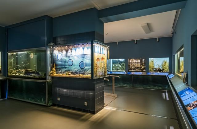 Highlight-Tour - Führung im Naturkundemuseum Potsdam