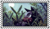houndour