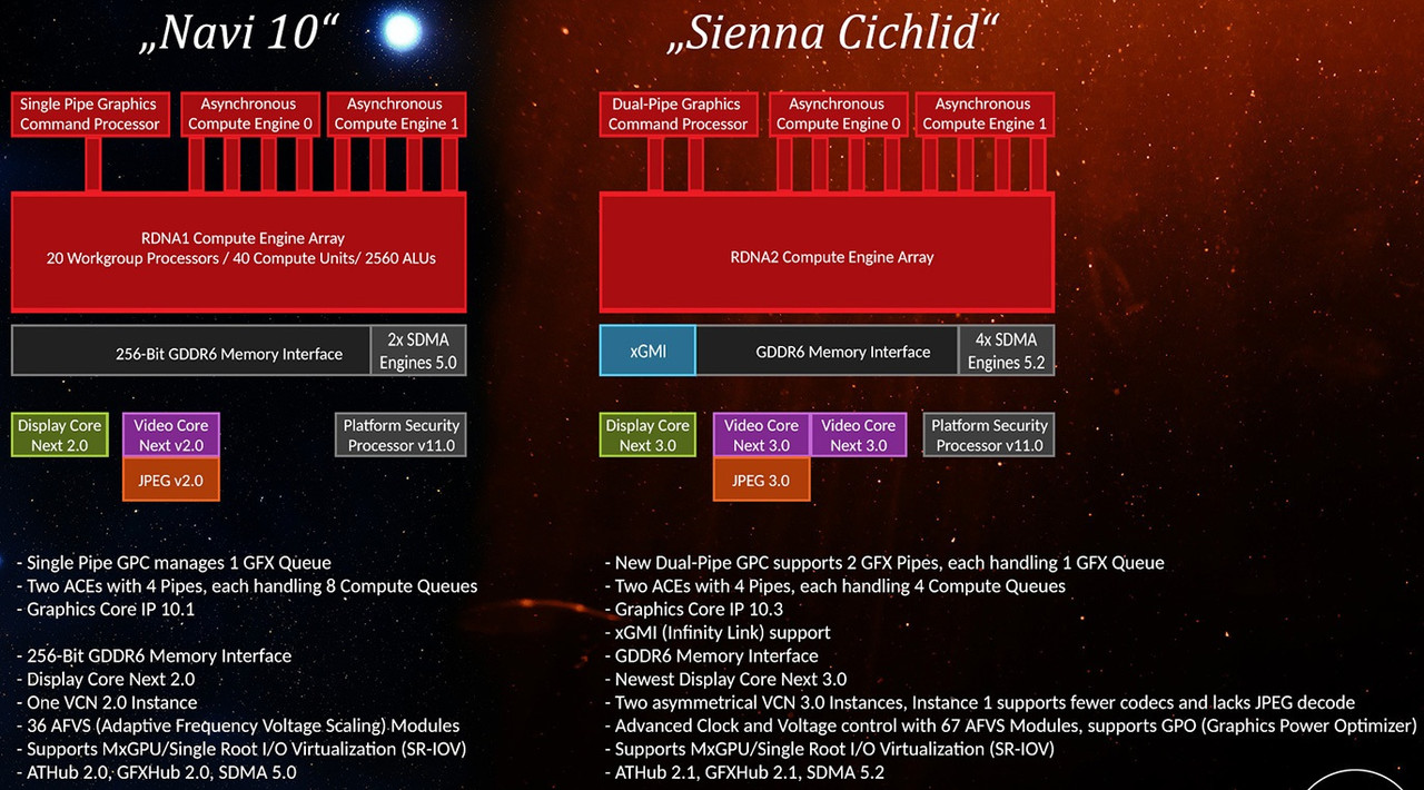 AMD-Sienna-Cichlid.jpg