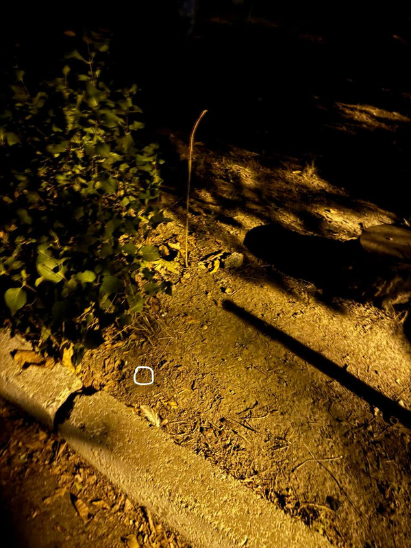 IMG 20251107 201445 717