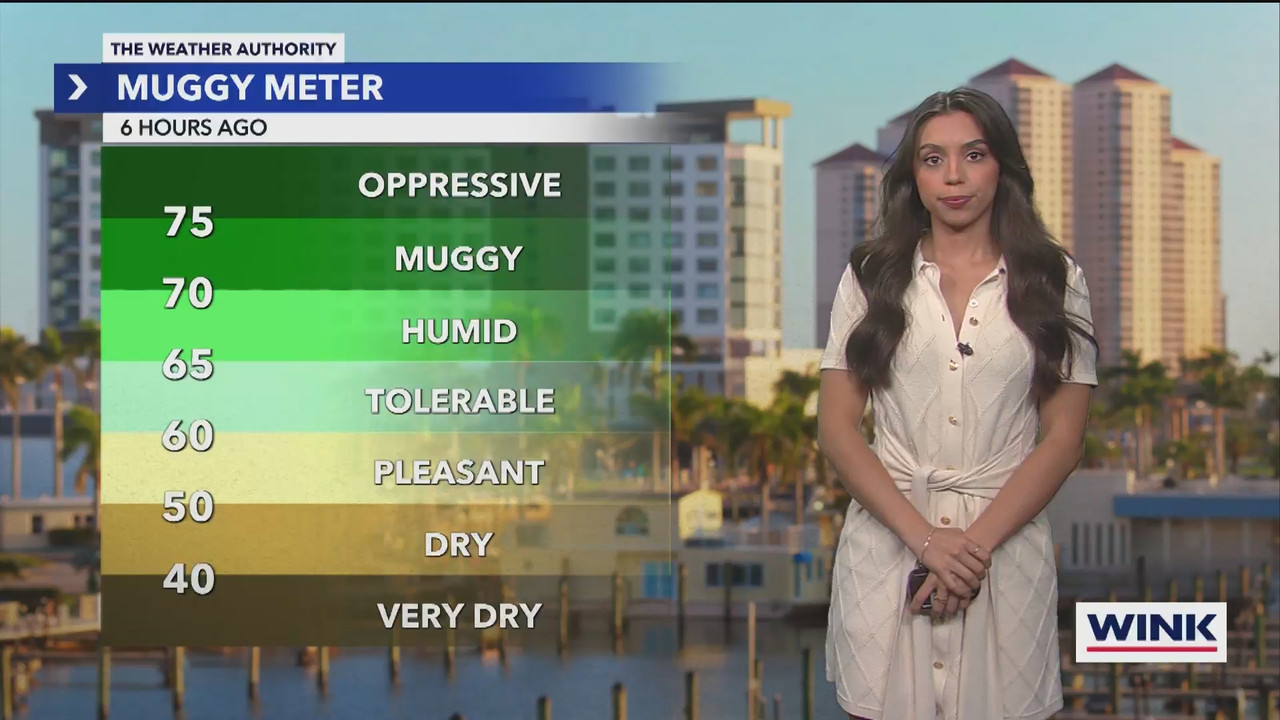 WINK NEWS at 600am Saturday_20241130_11001200.ts_snapshot_00.01.00.227
