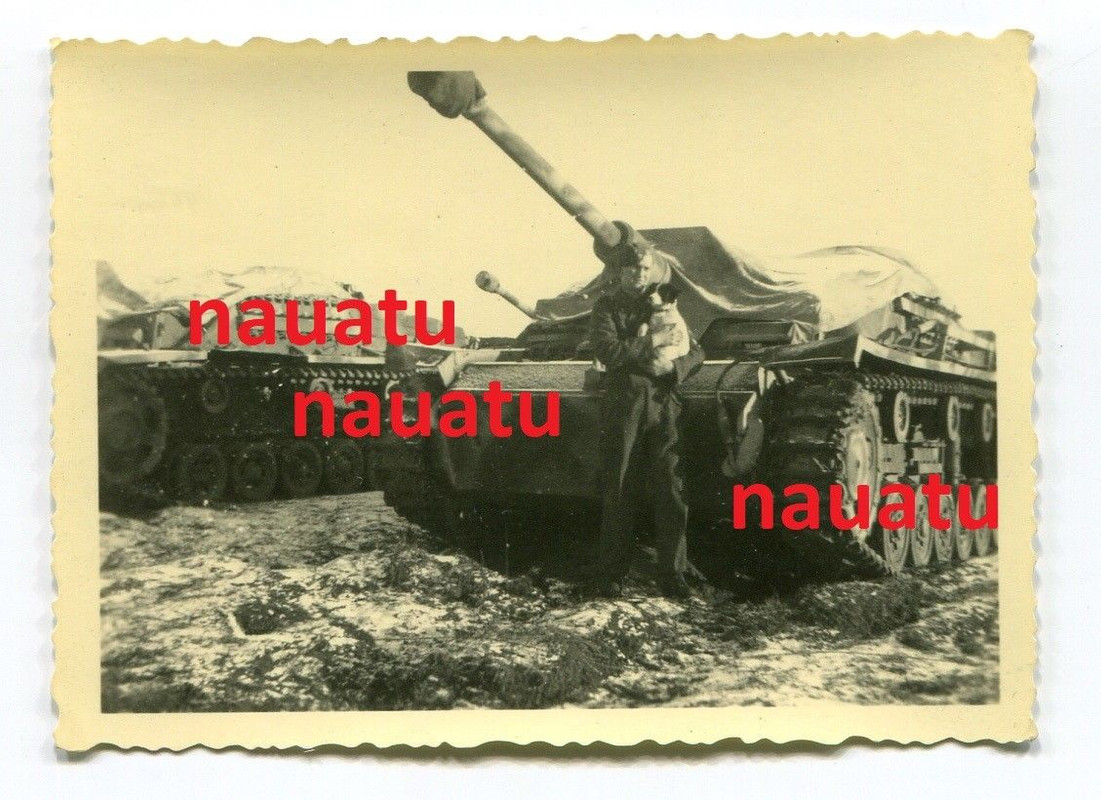 Foto Sturmgeschütz 6. Division NORD 1944 Langrohr