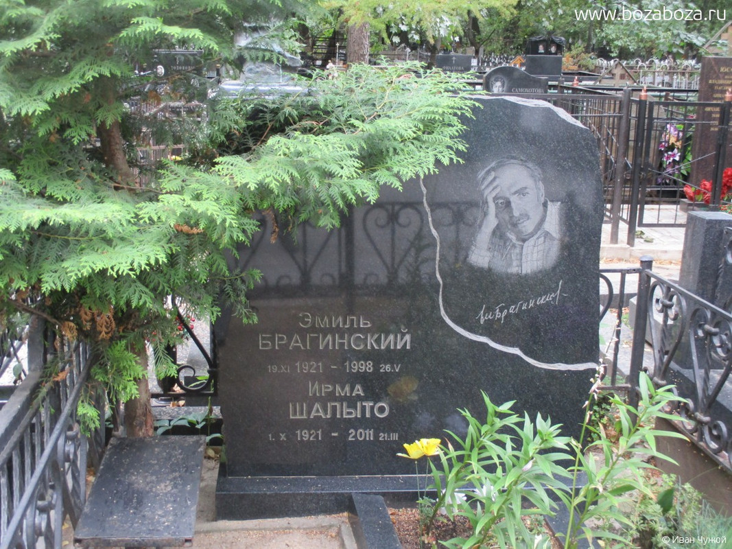 Брагинский Эмиль Вениаминович 1921-1998 гг