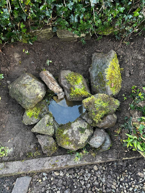 WhatsApp Image 2023-11-18 at 5.02.09 PM