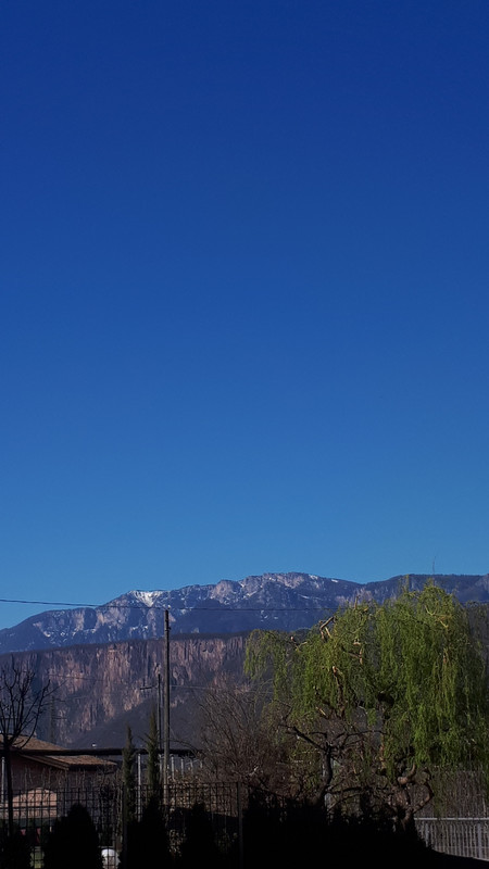 20190323_094856