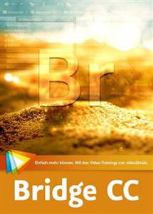 Adobe Bridge 2020 v10.0.2.131 (x64) Multilingual