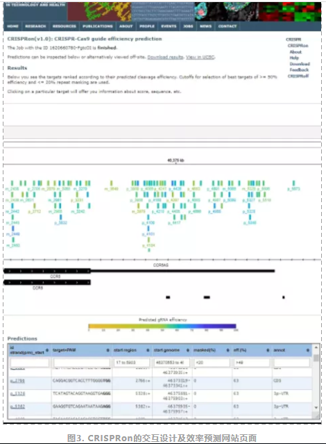Nature子刊发表“高通量 CRISPR基因编辑技术和更精确深度学习设计方法”-4.png