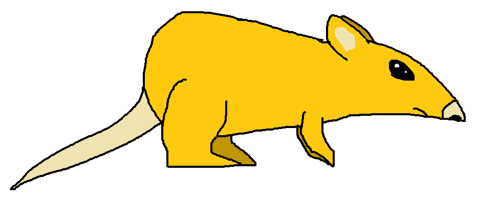 Семяядная мышь