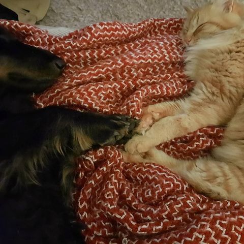 [Image: 140831110-3740950659294609-15020959252478942-n.jpg]