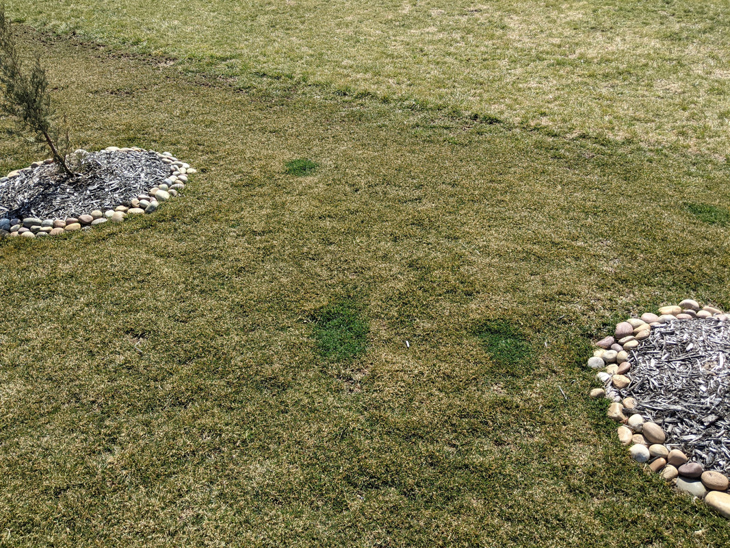 PXL_20210314_174730077