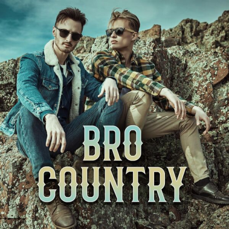 96521602 82c3 44af 979f 44fa9b7e13ee - VA - Bro Country (2023)