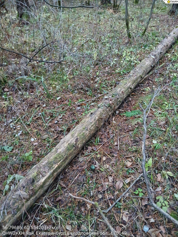 56 79686 60 55420 2m 29102025 170020