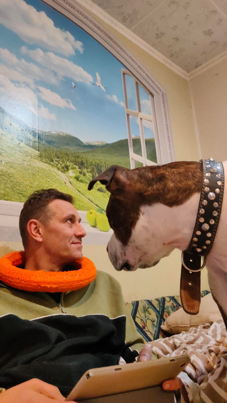 9CB123B2-4221-477B-A120-C172F807A229