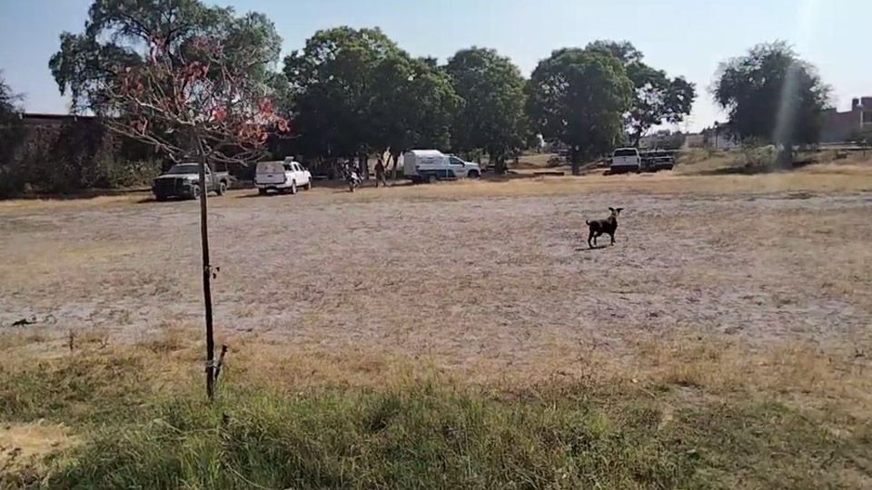 Con diversas puñaladas, encuentran el cadáver de un hombre en un parque