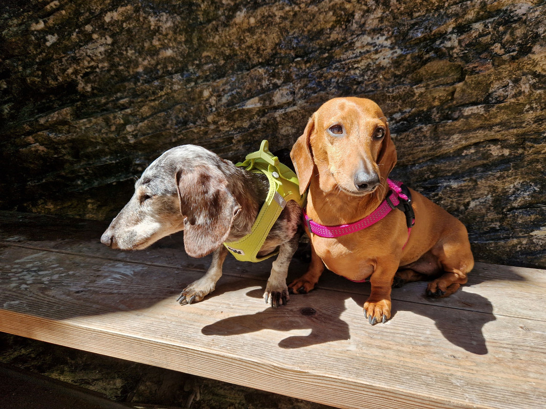 [Image: 20240624-105838.jpg]