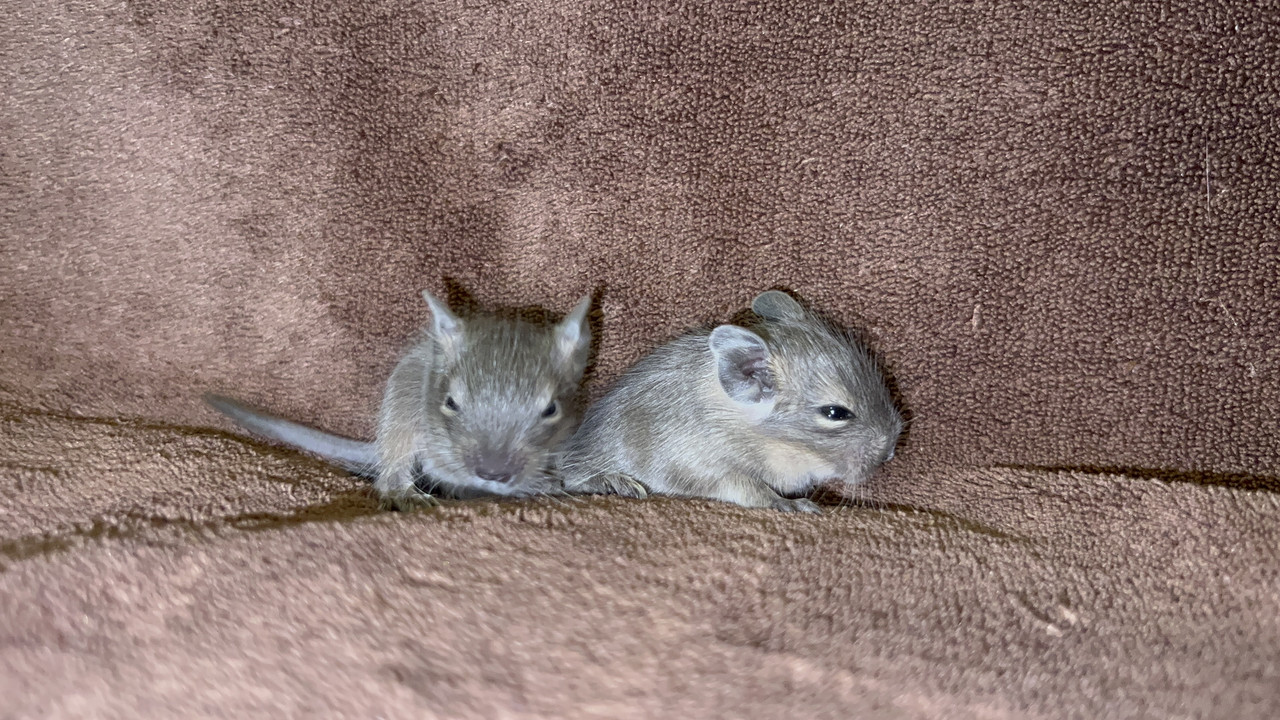 C1C2692D-8052-48D3-AB48-344E83320EEC