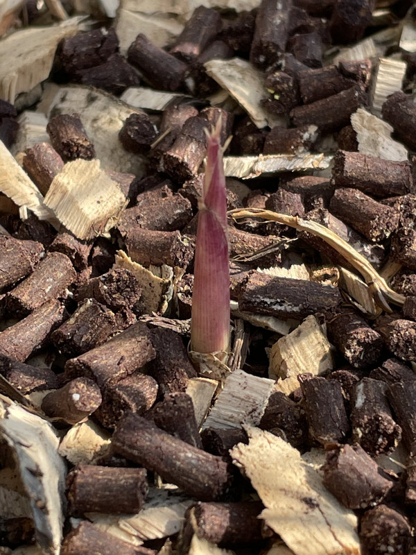 652BD1FA-CDA3-45B6-9C62-4122907DFF42