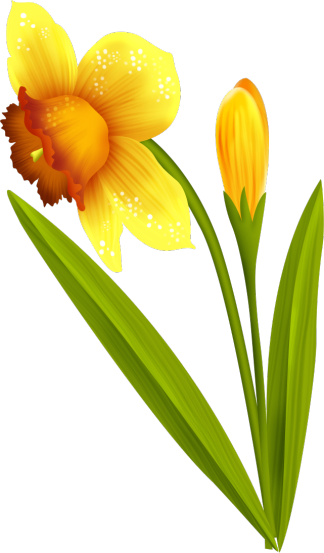 Yk-Easter is Coming  (24)