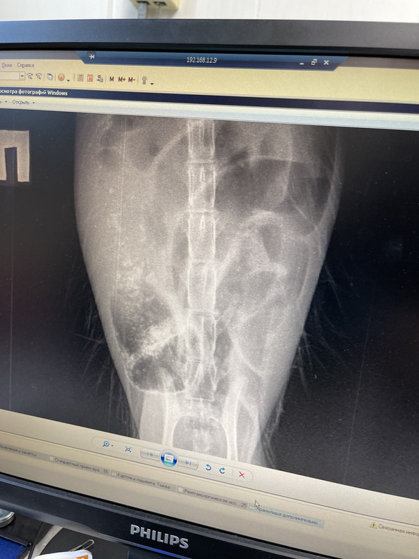 AF587A6A-825E-42FF-9113-6D6C31015DB1