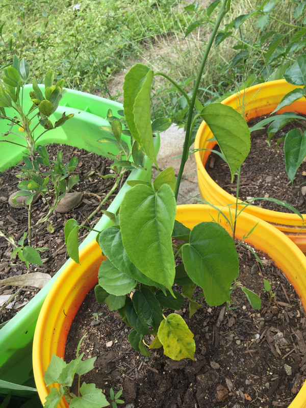 62336EF1-F3B1-4EFB-A39C-75ABE0FFA7DC