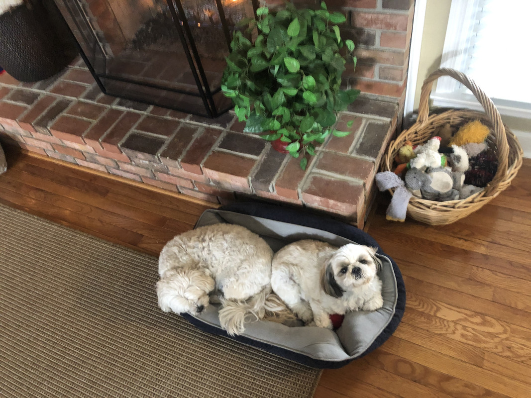 52859E8C-76D4-4064-BFC2-6DA1A538BB12