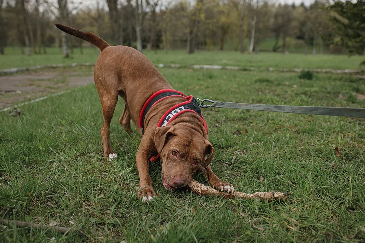 4A7EEDB7-79B4-4919-922A-6D1C7C182B2E